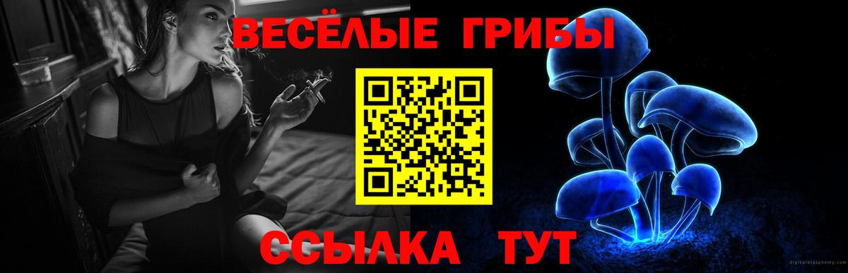 Галлюциногенные грибы Magic Shrooms Дагестанские Огни