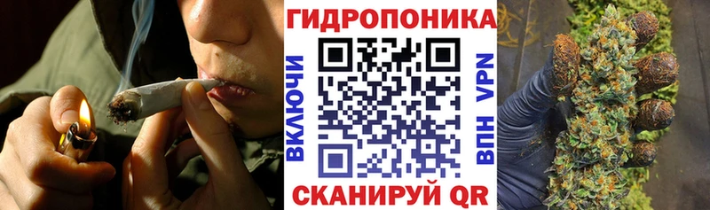 Бошки марихуана план  где купить наркоту  MEGA ссылки  Дагестанские Огни 